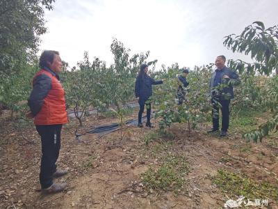黄龙镇：人大代表献良策 立体种养助增收