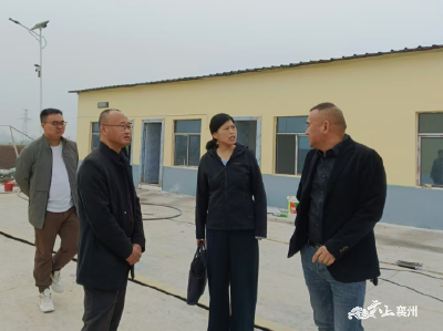 伙牌镇：人大代表调研粮食烘干厂房建设工作