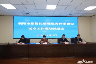 稳妥高效完成数智化病理服务体系建设试点扩面工作