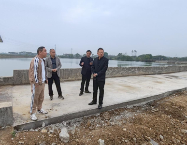 双沟镇：发挥代表监督作用 助推园区绿色发展
