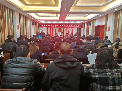 张家集镇第十届人民代表大会第六次会议召开