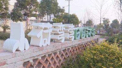 来小荷湾湾  享快乐满满