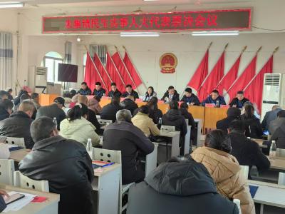 朱集镇人大：代表票决民生实事 “安全饮水工程项目”位列其中