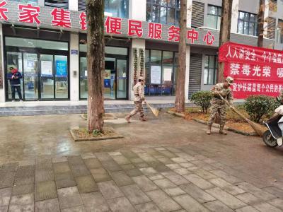 张家集镇：街道清洁大行动 助力优化营商环境