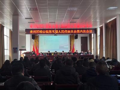 峪山镇召开第五届人民代表大会第六次会议