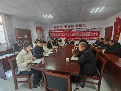 张家集镇人大组织辖区代表回原选区述职