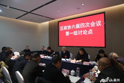 【聚焦两会】刘畅参加区政协六届四次会议第一组讨论组讨论