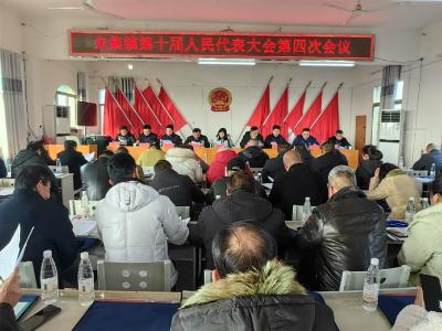朱集镇第十届人民代表大会第四次会议召开