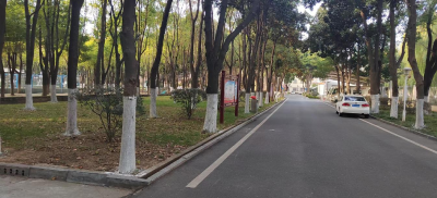 秋冬养护正当时 绿意盎然待春来