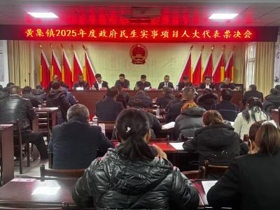 黄集镇人大：以“民声”定“民生” 让“实事”成“事实”