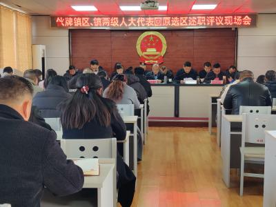 伙牌镇开展人大代表回原选区述职活动