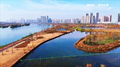 生态西湾 水鸟栖息地