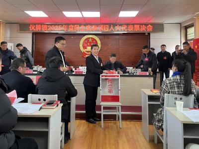 伙牌镇召开2025年度民生实事项目人大代表票会