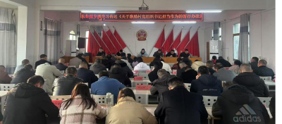 朱集镇：正向激励村党组织干部有干劲、有担当、有作为