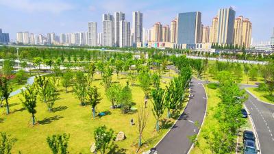 城市绿意不可失 焚烧野草不可为 共建美好家园！