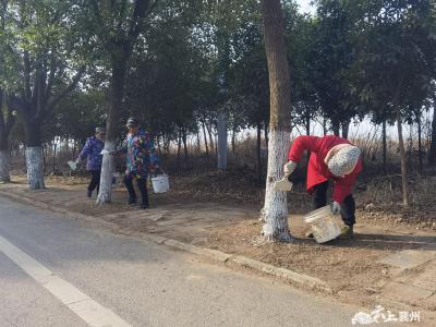 黄龙镇：树木喜穿“新衣”迎新年