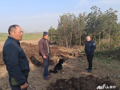 守护耕地 伙牌镇12345在行动