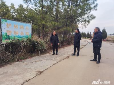 人大代表进林场 筑牢森林“防火墙”