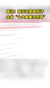 喜讯！我区这条路获评全省“十大最美农村路”