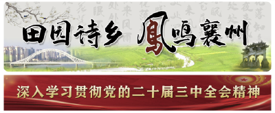 襄州区审计局召开审前集中廉政谈话