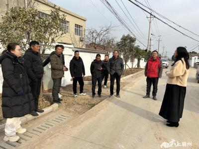 伙牌镇人大：督办线路整治 为乡村“理”出安全网