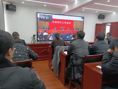 襄州区审计局认真学习贯彻全省审计工作会议