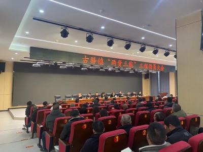 古驿镇召开“两资三能”工程动员大会