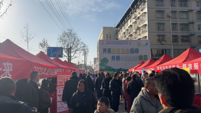 龙王镇：春风送岗促就业 人大代表来助力