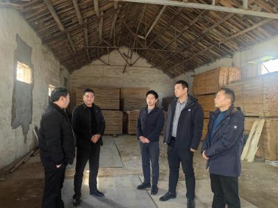 黄集镇：代表牵线引项目，招商引资促发展
