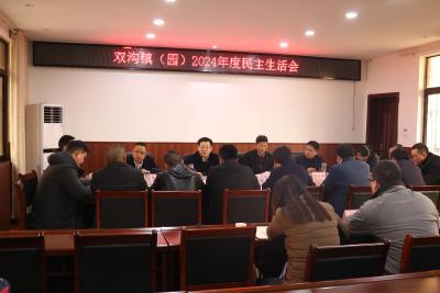 刘明锋：扛起双沟强镇担当 推动“两资三能”工作取得更实成效