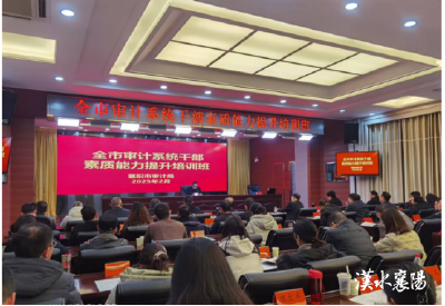 区审计局：强化能力素质 提升审计工作质效