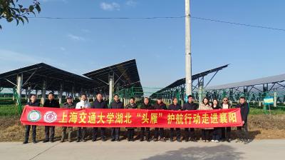 “头雁”护航行动走进古驿