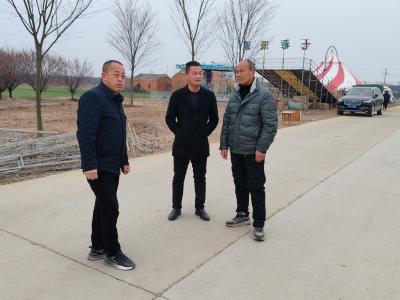 双沟镇人大走访八里岔村梅园 助力梅花节开园