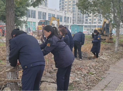 环境整治齐发力   共建美好家园