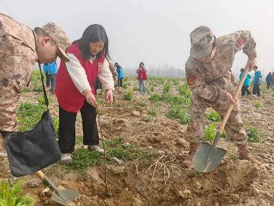 汇聚团青力量 共植希望之林——朱集镇开展2025年植树节活动