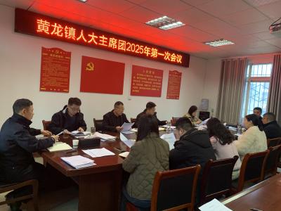 黄龙镇人大主席团2025年第一次会议召开