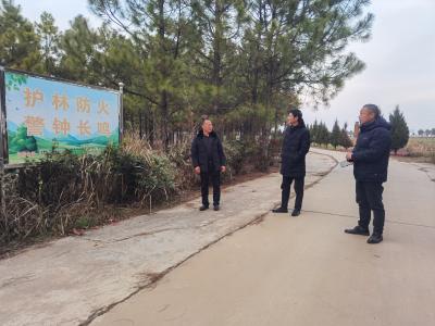 黄龙镇：多举措抓好春季森林防火工作