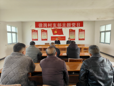 黄龙镇人大：深入乡村谋发展 共绘蓝图启新程