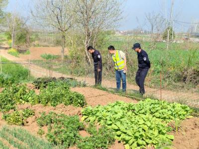 峪山镇：禁种铲毒护净土 除患清源守民心‌