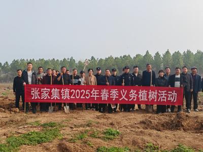张家集镇：植树造林添新绿