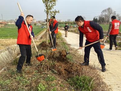 黄集镇：春来植树添新绿
