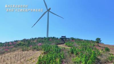 打卡集装箱民宿  藏在山顶的梦幻旅居