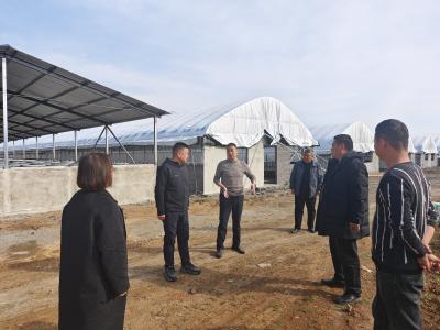 古驿镇人大：调研农业特色产业，助推农服小镇建设