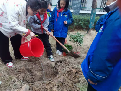 植树养绿护绿 扮靓美丽校园——襄州区第五中学开展植树节活动