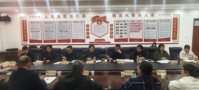 区人大教科文卫（社会）代表组召开2025年第一次会议