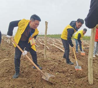 黄龙镇：春风吹暖意 植树添新绿