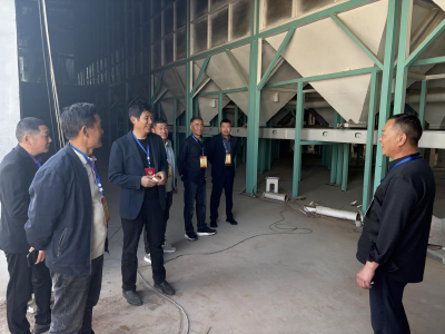 黄龙镇人大：代表履职为人民 共谋发展促振兴