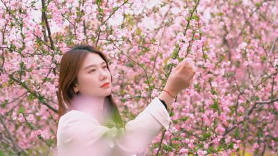 她站在海棠树下，听花开，等你来，共赴这场限定版的浪漫