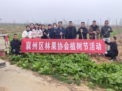 爱心捐赠助力振兴 1100棵梨树扎根下湾村