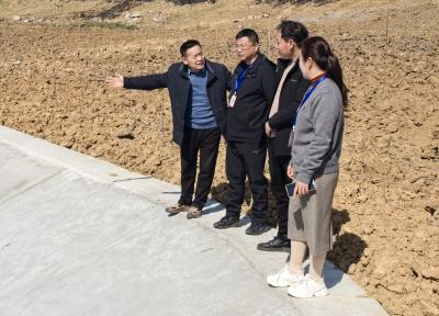 程河镇人大：视察水毁工程修复情况  共筑民生安全防线
